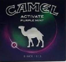 Desert farms' camels live in small family farms in the usa where the average herd is about 6 camels. Camel Purple Mint Cloveciggies Net