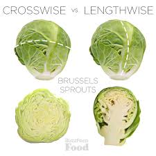 Lower the heat and simmer uncovered for 4 hours, skimming off any… Slicing Crosswise Vs Lengthwise Explained In Pictures