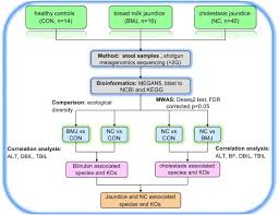 Association Of Serum Bilirubin In Newborns Affected By