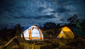 Support small businesses in pure michigan, every day; 13 Stunning Starry Night Photos International Dark Sky Association