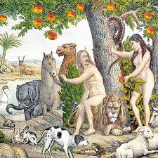 The garden of eden not only introduces us to god's first interactions with mankind, his most special creation, but it also sets the stage for a grand the garden is yet to be restored. Garden Of Eden Adam Eve Thinkers Bible Studies
