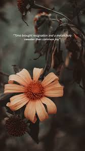 We did not find results for: Wuthering Heights Quotes Lockscreens Tumbex