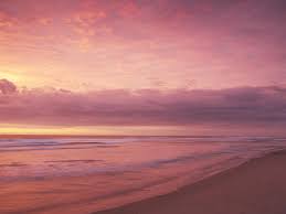 Download hd wallpapers for free on unsplash. Sunset Pink Beach Wallpaper Hd Novocom Top