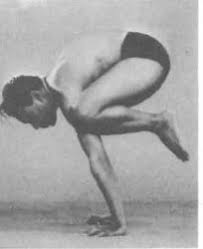 Crow or crane (with straight arms) pose origin of word baka = a crane. Spotlight On Bakasana