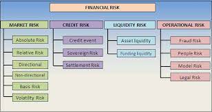 Financial risk management training providers in india. What Is Financial Risks And Its Types
