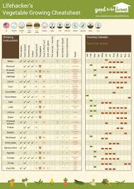 Create A Personalized Vegetable Gardening Cheat Sheet With