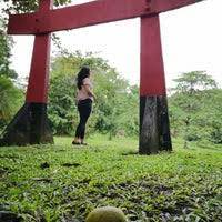 Japanese Garden Talaongan Cavinti Laguna
