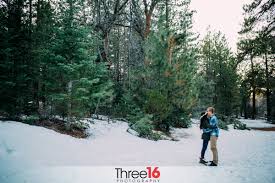 Big Bear Engagement | Taylor & Petra - Three16 Photography
