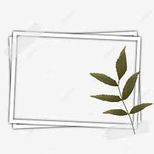 Aesthetic movement picture mirror frame gesso gold painting 1880 antique photo bridge. Polaroid Frame Photos Social Media Aesthetic Leaf Tape Pressed Leaves Aesthetic Leaf Polaroid Transparent Png Transparent Clipart Image And Psd File For Free Download
