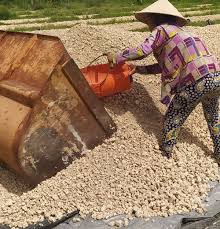 bã mì cục ở tại huyện châu thành, Tây Ninh