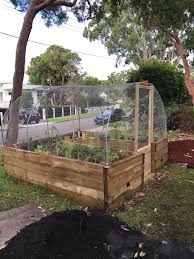 Raised garden beds don't really need a liner in order for the plants to grow well and be healthy. My U Shaped Raised Wicking Bed With Wire Frame Cover To Allow The Insects In But Keep The Brush Turkeys And Possums Out It S On A Timer So The Reservoir Is Topped Up