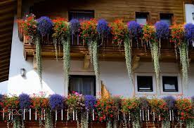 Flower Arrangement On Typical Tyrolean Balcony Austria Flowers Blooming On The Balcony In Northern Tyrol Austria Flower Arrangements Austria Arrangement