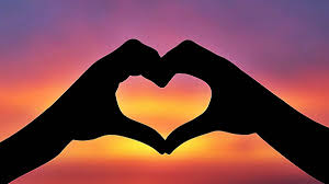 We did not find results for: De Paseo Por El Corazon Humano Como Funciona