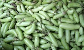 Jual sayur sayuran dan buah organik segar tanpa pestisida dari petani lokal jogja karta secara online | segar, murah, mudah dan aman. Terong Hijau Panjang Pasar Sayur Online
