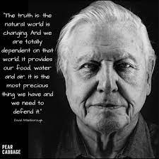 Legacy of stories from david attenborough & a life on our planet team. The Truth Is The Natural World Is Changing David Attenborough David Attenborough Quotes Natural World