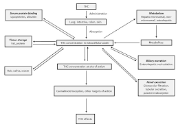 For Health Care Professionals Cannabis And Cannabinoids