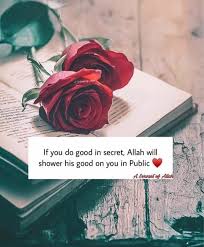 Pin On Allah S Bird