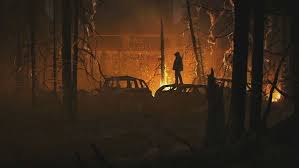 For games like the last of us 2, which bundles amazingly great graphics, i'd say that it'd be a shame if we didn't have a cool wall depicting the little nothings of the game. The Last Of Us 2 Die Besten Ps4 Themes Wallpaper
