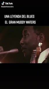 Muddy Waters performing 'I'm a man' #bluesmusic #fyp #muddywaters  #chicagoblues #bluesartist