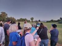 Unplug: A Bat Walk in the Park