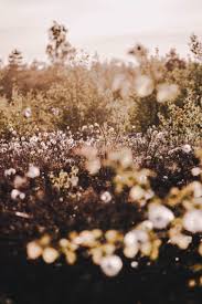 Maybe you would like to learn more about one of these? Is Sustainability In Fashion Industry Leaders Share Their Views Economist Intelligence Unit