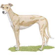 Greyhound machine embroidery design crochet, carving, patterns. Greyhound Machine Embroidery Designs Greatnotions Com