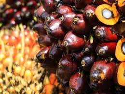 4,736 likes · 2 talking about this. Kenaikan Harga Minyak Sawit Peluang Peroleh Pendapatan Tambahan