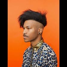 Pin On Afro Sides Haircut