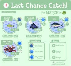 We Ve Got Four Critters Leaving Town This Month Animalcrossingus Animal Crossing 3ds Animal Crossing Animal Crossing Memes