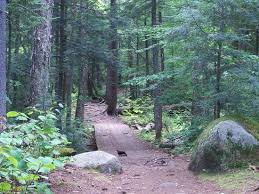 Brewster Peninsula Nature Trails Nature Trail Lake Placid Lake Placid New York