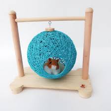 Pin On Guinea Pig Supplies Wholesale