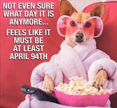 April Eleventy Seven Funny Animal Memes Funny Memes Funny Pictures