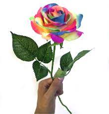 Colors are a horizontal stripes rainbow mix of purple, blue, green, yellow, danzcue wsa617 flags & streamers. Nuonuowell 10 Pcs Single Stem Colorful Silk Flower Artificial Rainbow Rose Real Touch Wedding Home Decor Gift Wedding Bouquets Artificial Dried Flowers Aliexpress