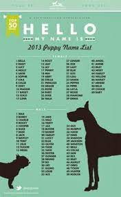Whether welcoming a new puppy from a family litter, or adopting. 17 Best Dogs Name Ideas Dog Names Best Dog Names Dogs