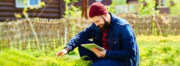 Garden Design Academy Of Ireland Mission Statement Employees And Hiring Linkedin