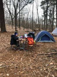 The pines campground is on a mixed conifer forested site adjacent to the little golden forest trail and near the groveland ranger district office. The Pines Campground The Dyrt