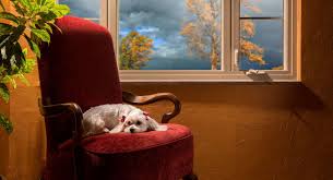Maybe you would like to learn more about one of these? Looking To Replace Your Windows Want The Best Choice For Residential Windows Learn All About Stainless Steel Residential Windows Window Replacement Windows