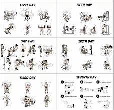 6 Day Work Out Plan With Day Off On The 4th Day Gym