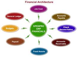 Financial Account Software Services Payroll Software