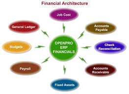 financial account software services payroll software