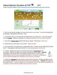 Answer the following questions as you finish each module of the virtual lab or as a final assessment after completing the entire virtual lab. Phet Simulations Worksheets Teachers Pay Teachers