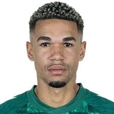 Profile J. Njinmah, Werder Bremen: Info, news, matches and statistics