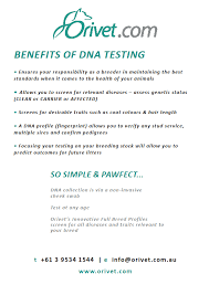 Best coffee machine brands australian kelpie breeders in ohio. Https Showmanagerservice Blob Core Windows Net Public Reports Events 28002 Redcliffepeninsulakennelclub 28 Mar 2021 Ch 28002 Chmarkedcatalogue Pdf