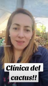 Clínica del cactus!! Diagnóstico y tratamiento! Síguenos en Instagram y  agenda tu visita. #cactusenfermo #cochinillas #cochinilla #cactus #cacti  #cactusysuculentas #vivero @psceron @reyesvalera70