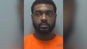 Loose camel kills 2 at Tennessee petting zoo, sheriff says