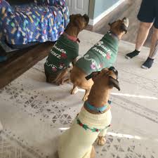 ALDI Aisle of Shame Community