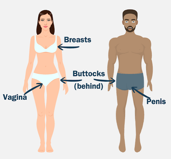 Be Safe: Understanding Private Parts Social Story — PAAutism.org, an ASERT  Autism Resource Guide