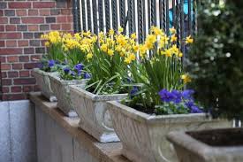 Gardening expert katie rushworth shows us how to layer bulbs in a pot for a fabulous springtime display. How To Grow Spring Bulbs In Containers