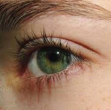 A R T E M I S In 2020 Aesthetic Eyes Green Eyes Eye Photography