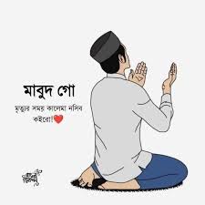 Profile for Bashar mirza